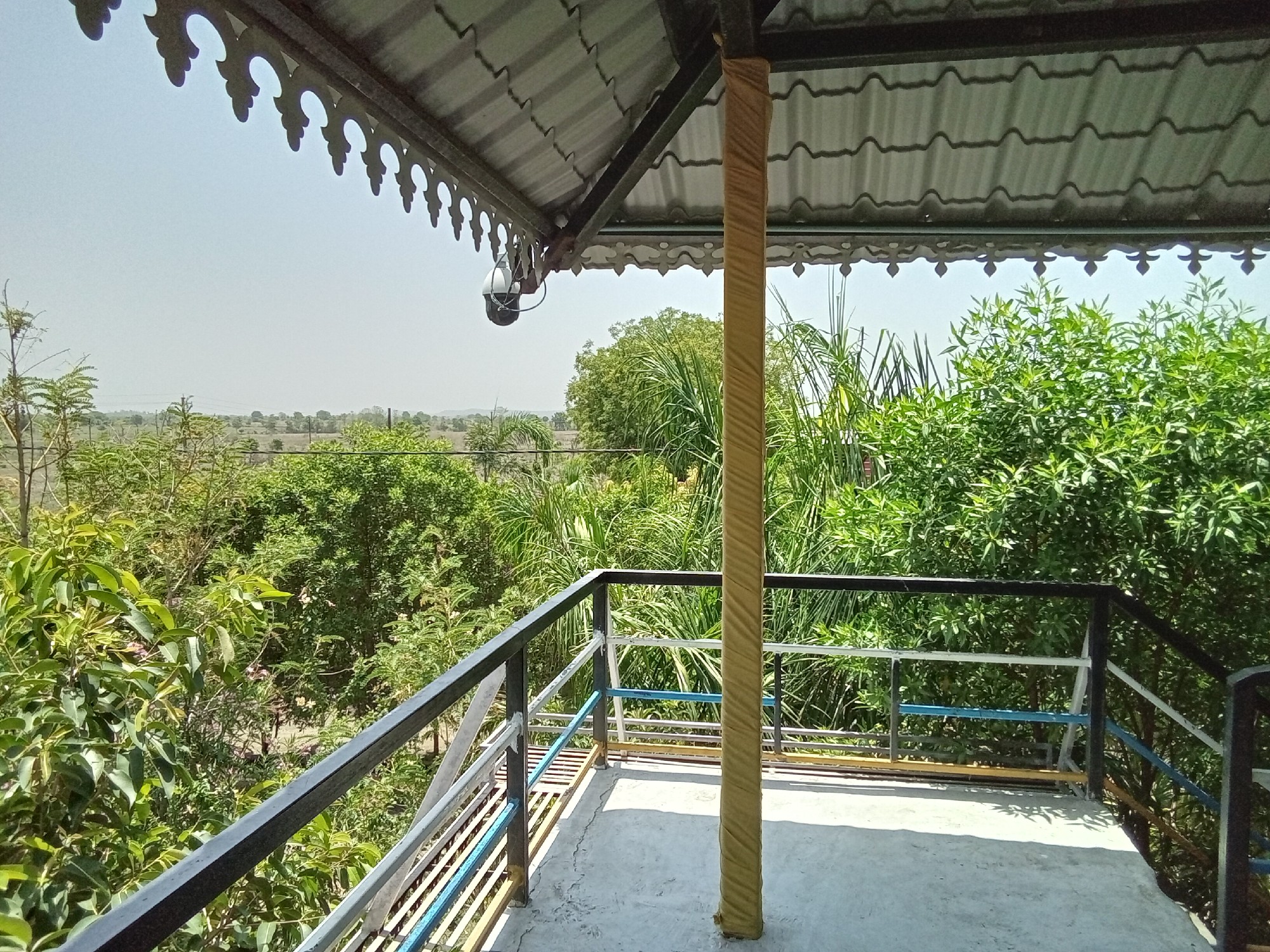 urgently Farmhouse and Farmland for sale 3