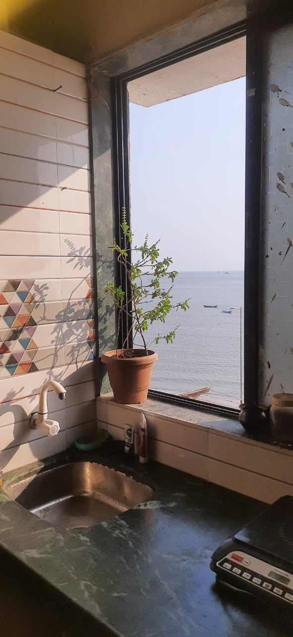 Urgent Required Filling Soon 2