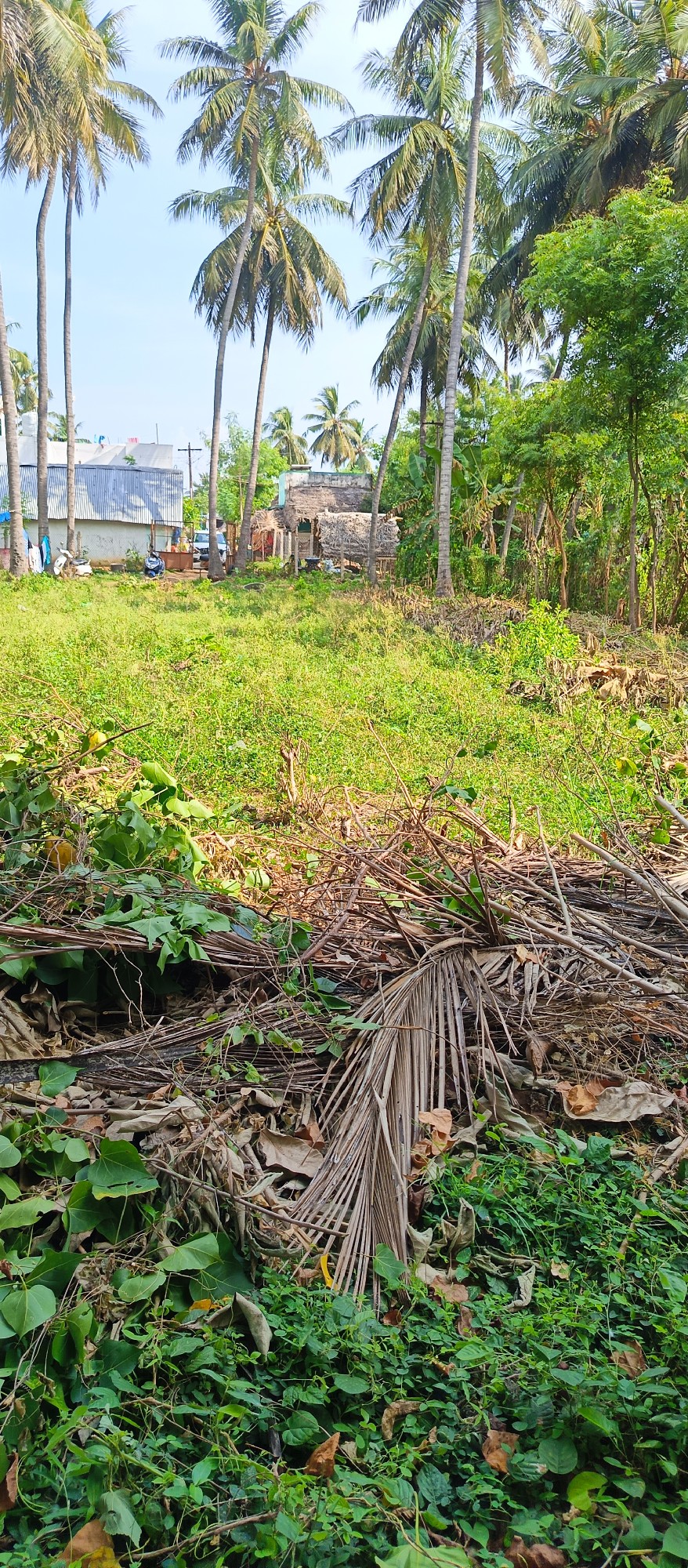 Good land for farm house.. Very urgent sale.. 2