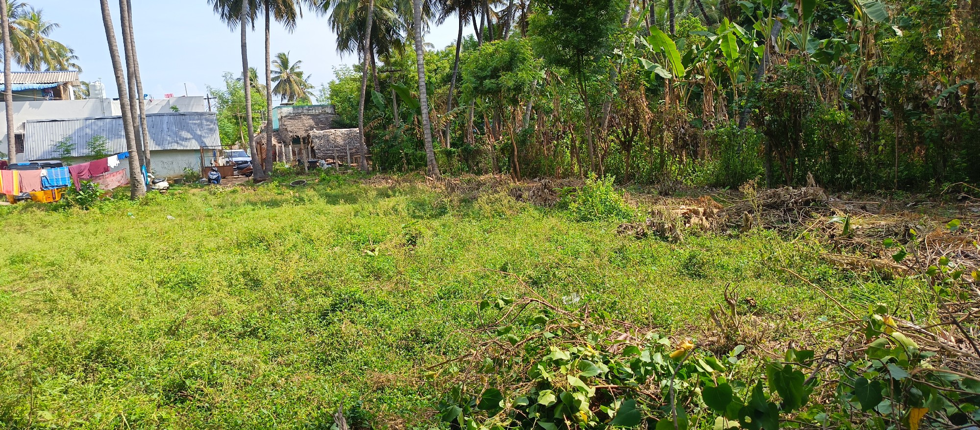 Good land for farm house.. Very urgent sale..