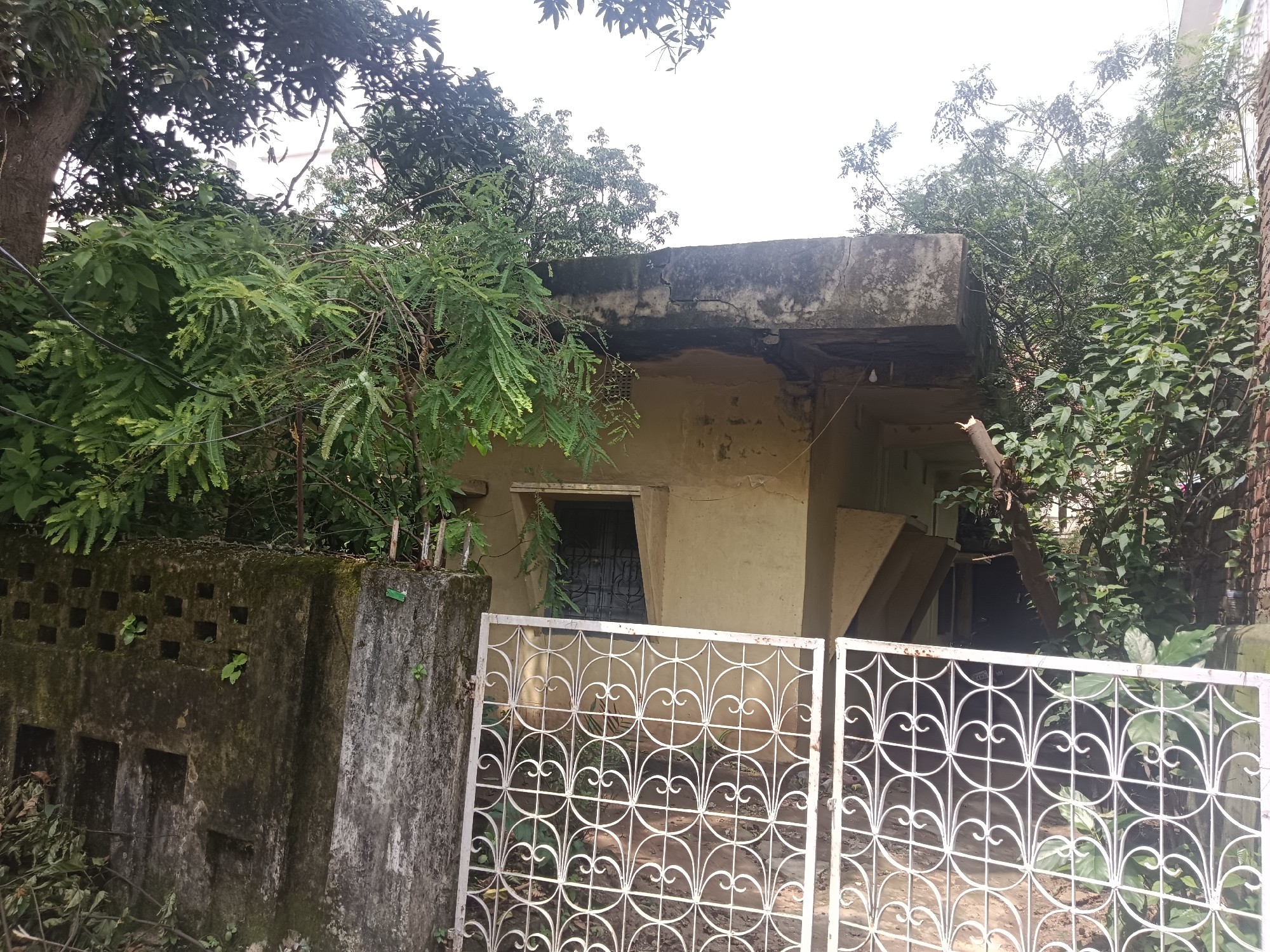 Plot For Sale in New Area Morabadi