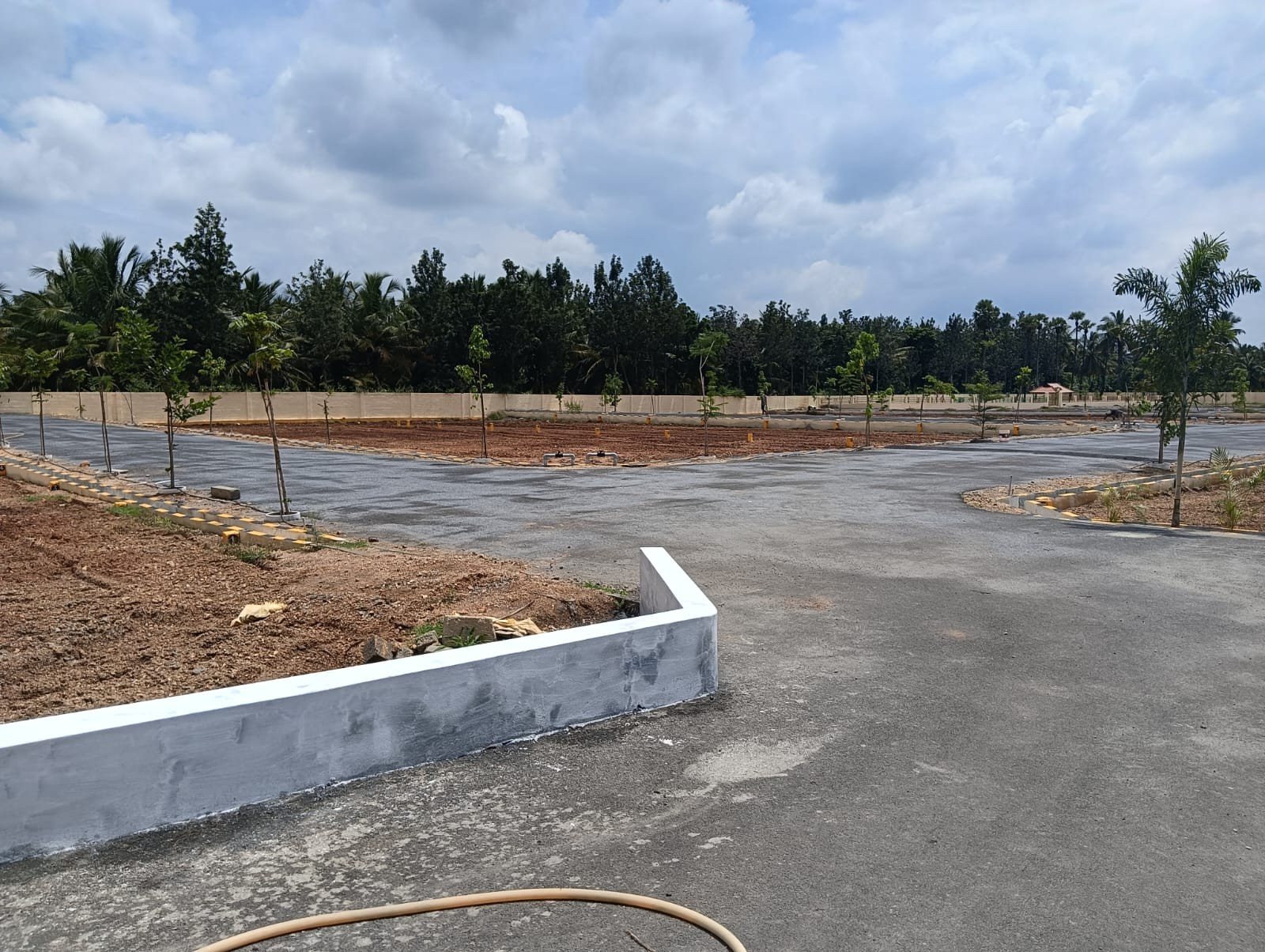 From Vision to Value — Discover Your Perfect Plot 2