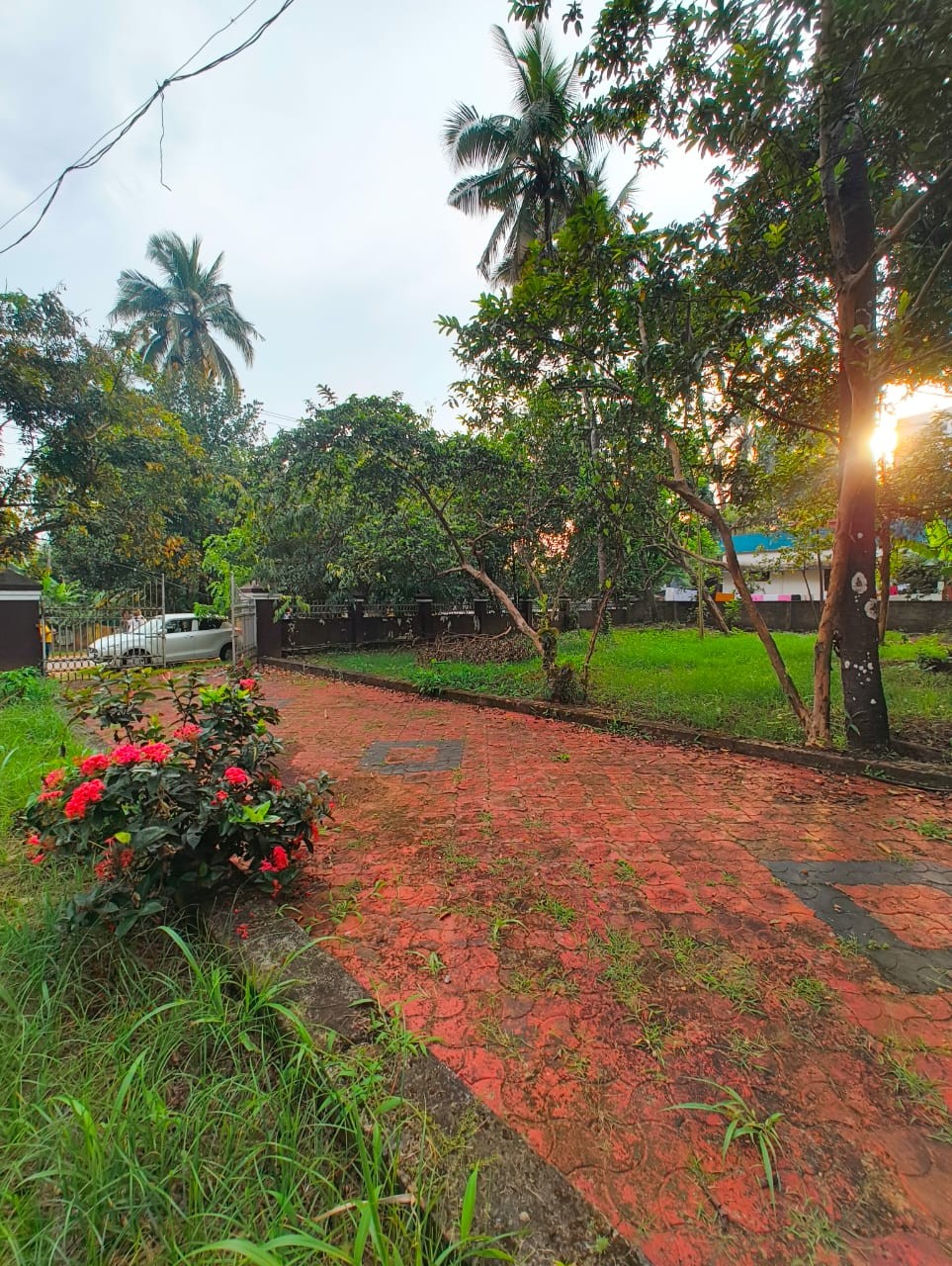 Prime plots for sale @ Koorkanchery 2