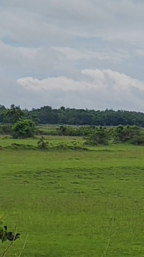 barasahi plot for sale