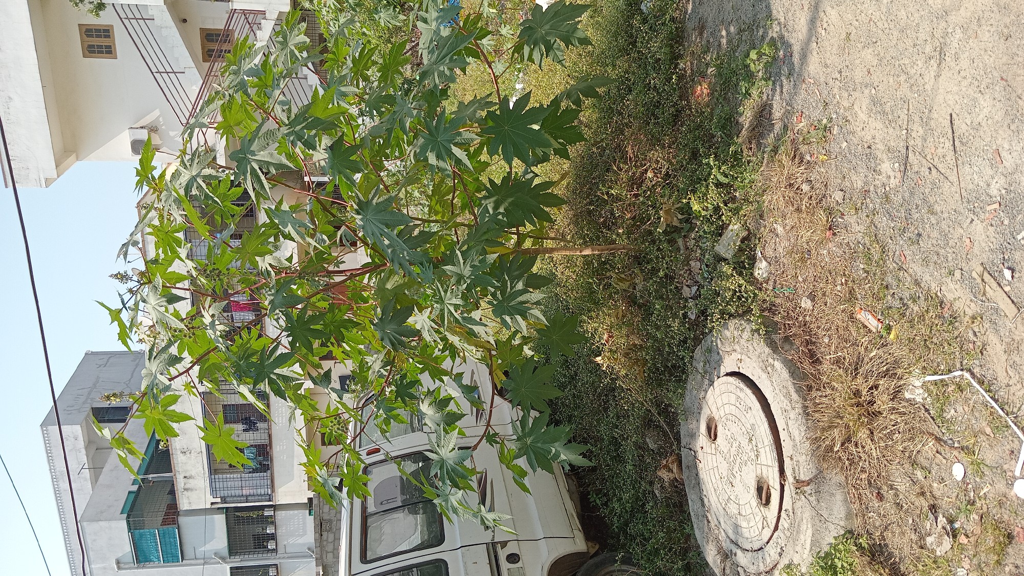 PLOTS AVAILABLE AT MIYAPUR, CHANDA NAGAR, MADINAGUDA AND AMEENPUR 3