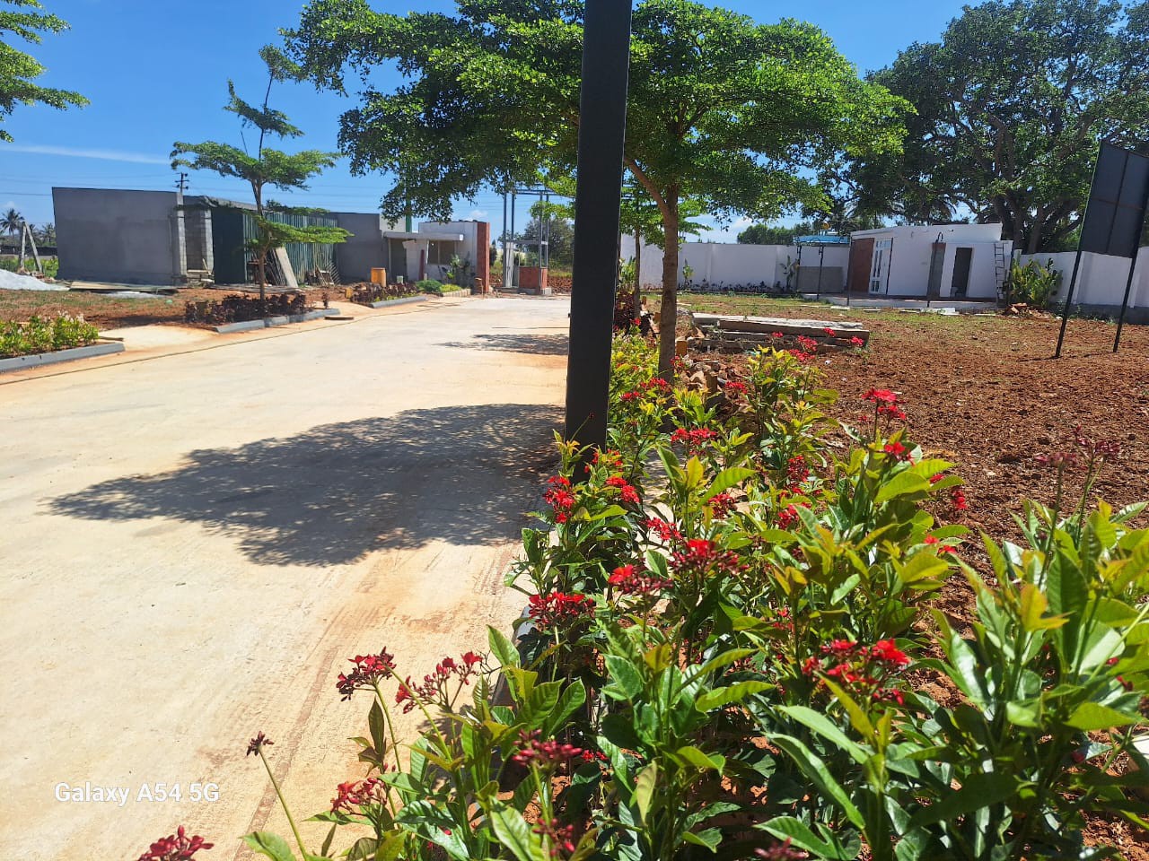 KNS BHAVATHI SILVER WOOD