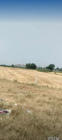 near cantt county 133 Marlas commercial plot for sale
