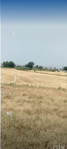 farm house for sale 60000per Marla