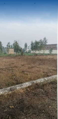 5 Marlas plot in Just 12 lac nr Jalandhar height 66ft road