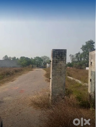 6 month time, 50 Marlas plot 30 lac , 10 lac urgent need ct institute