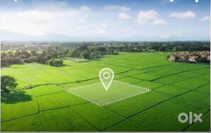 5 acre land 33 lac acre just 7 km from curo pvr cinema