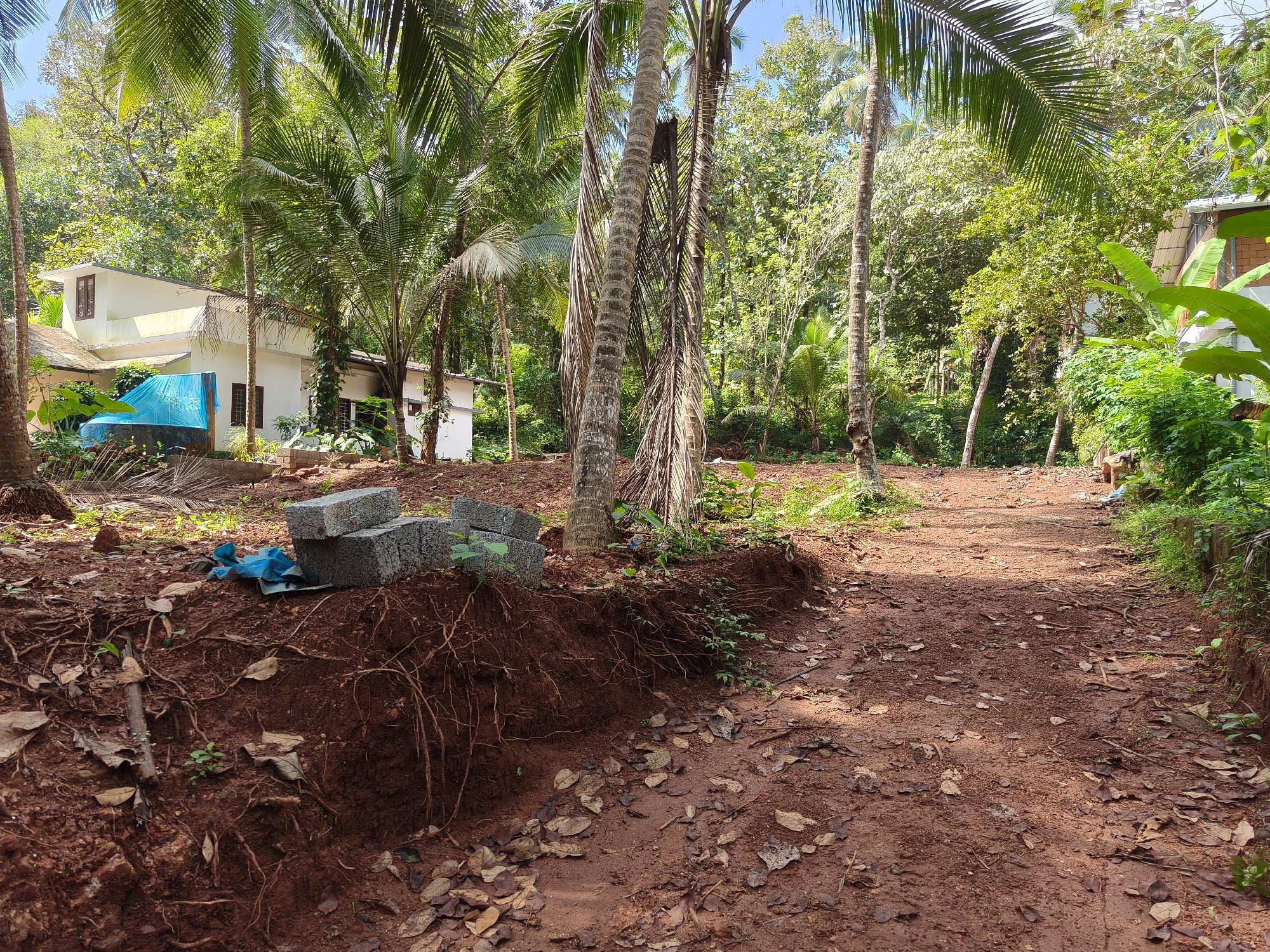17.50 cents of land at vallikkunnu, near arambachal juma masjid, pantheerankavu 2