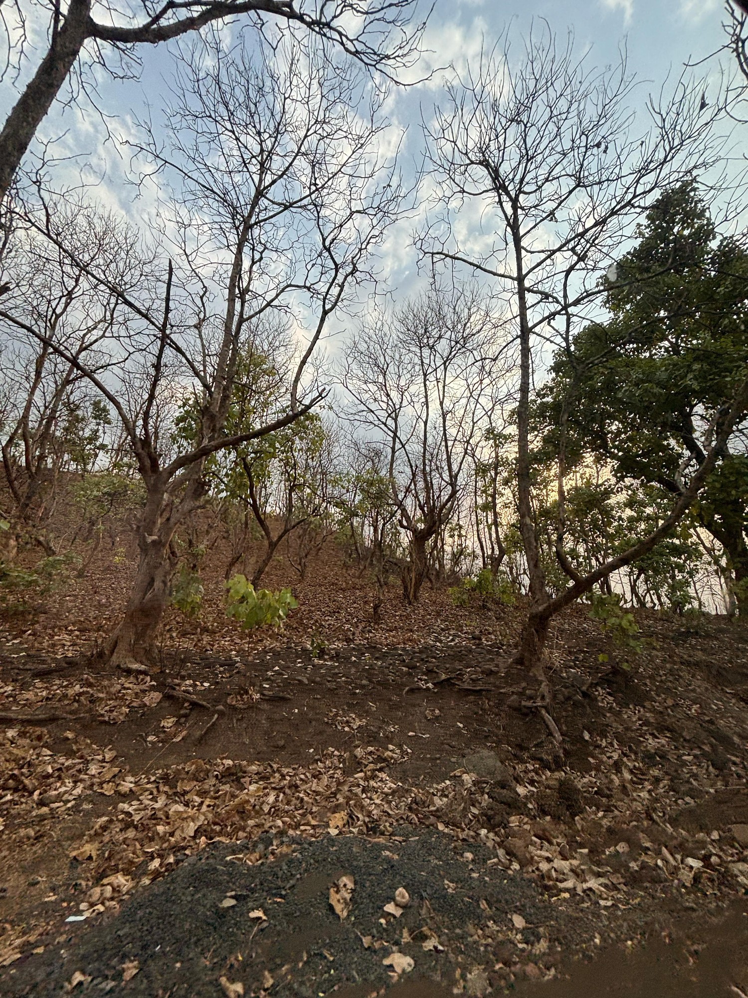 Green Valley Resort 3