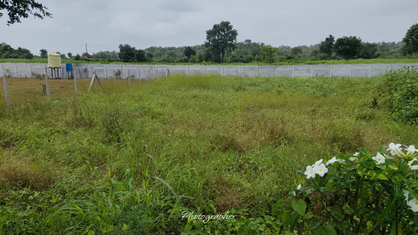 Green Valley Resort 2