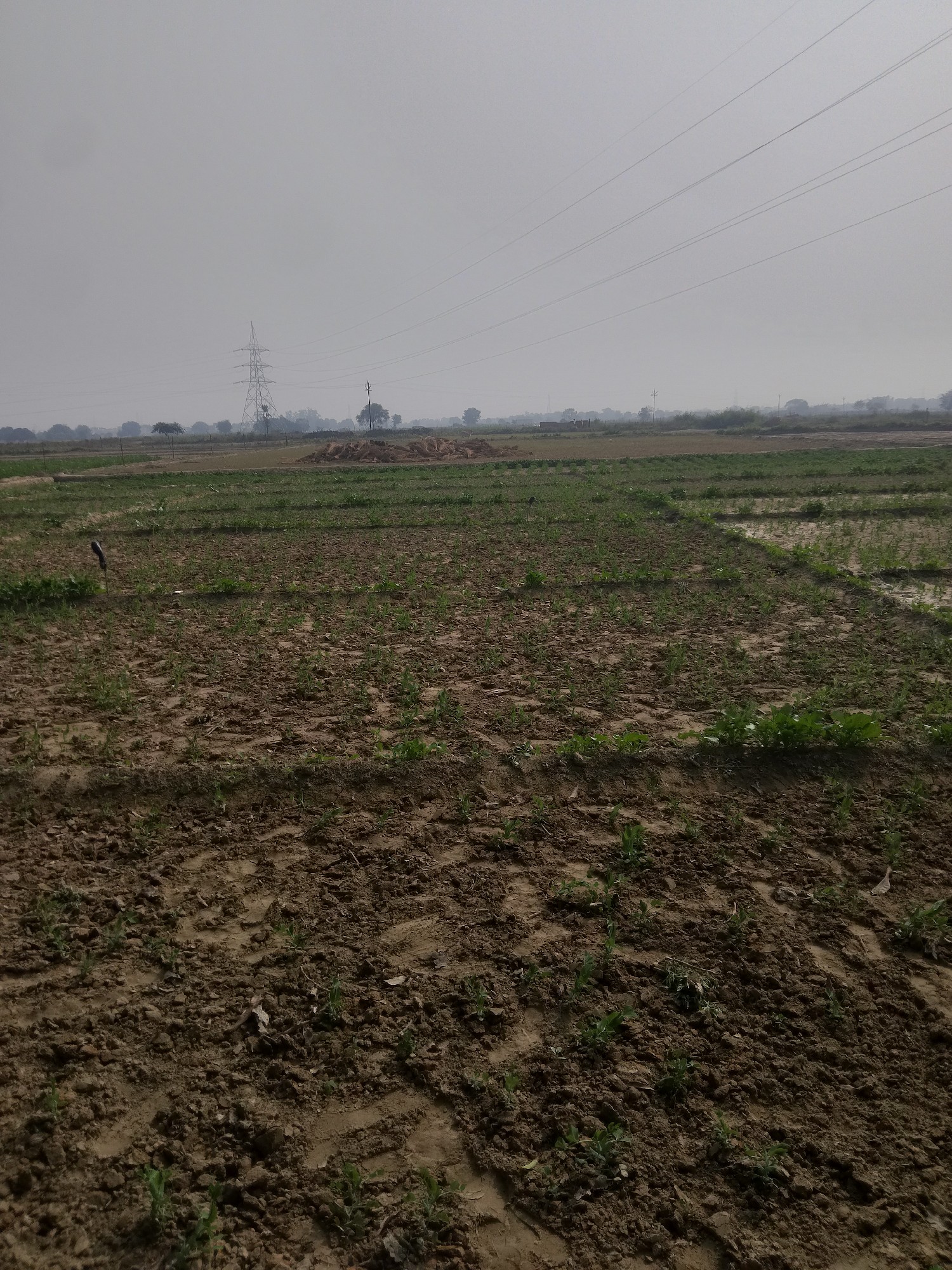 bahut mast hai jehta me