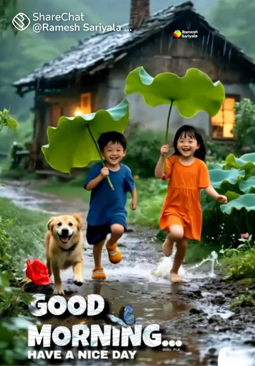 River adventure and peacefull place