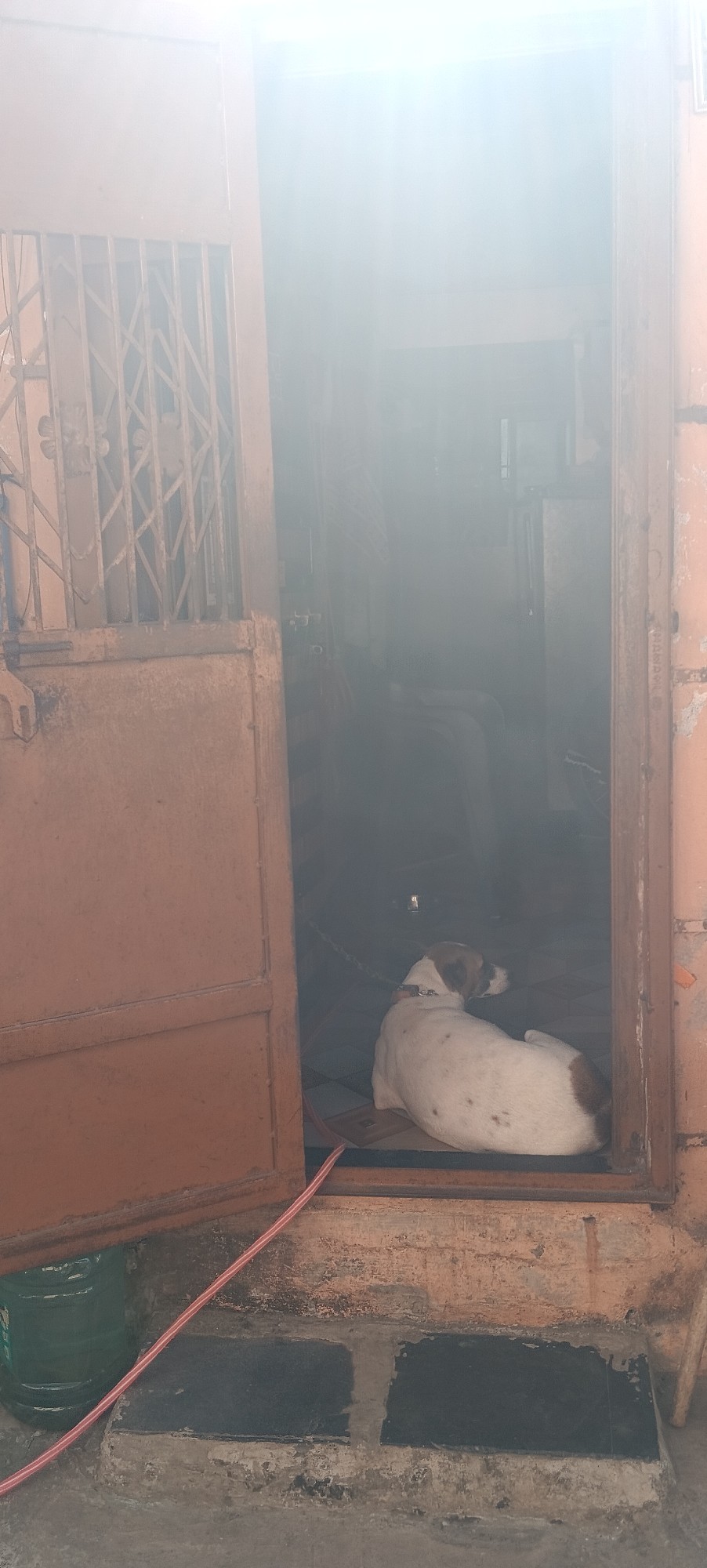 This house is vary nice