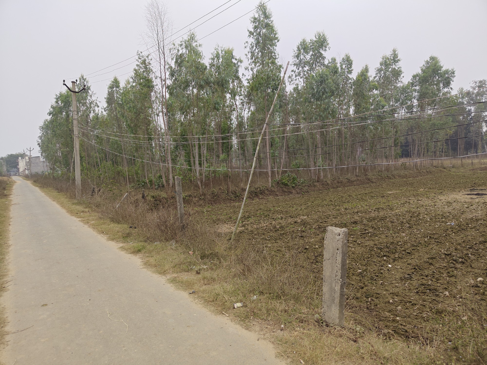 commercial area for rent