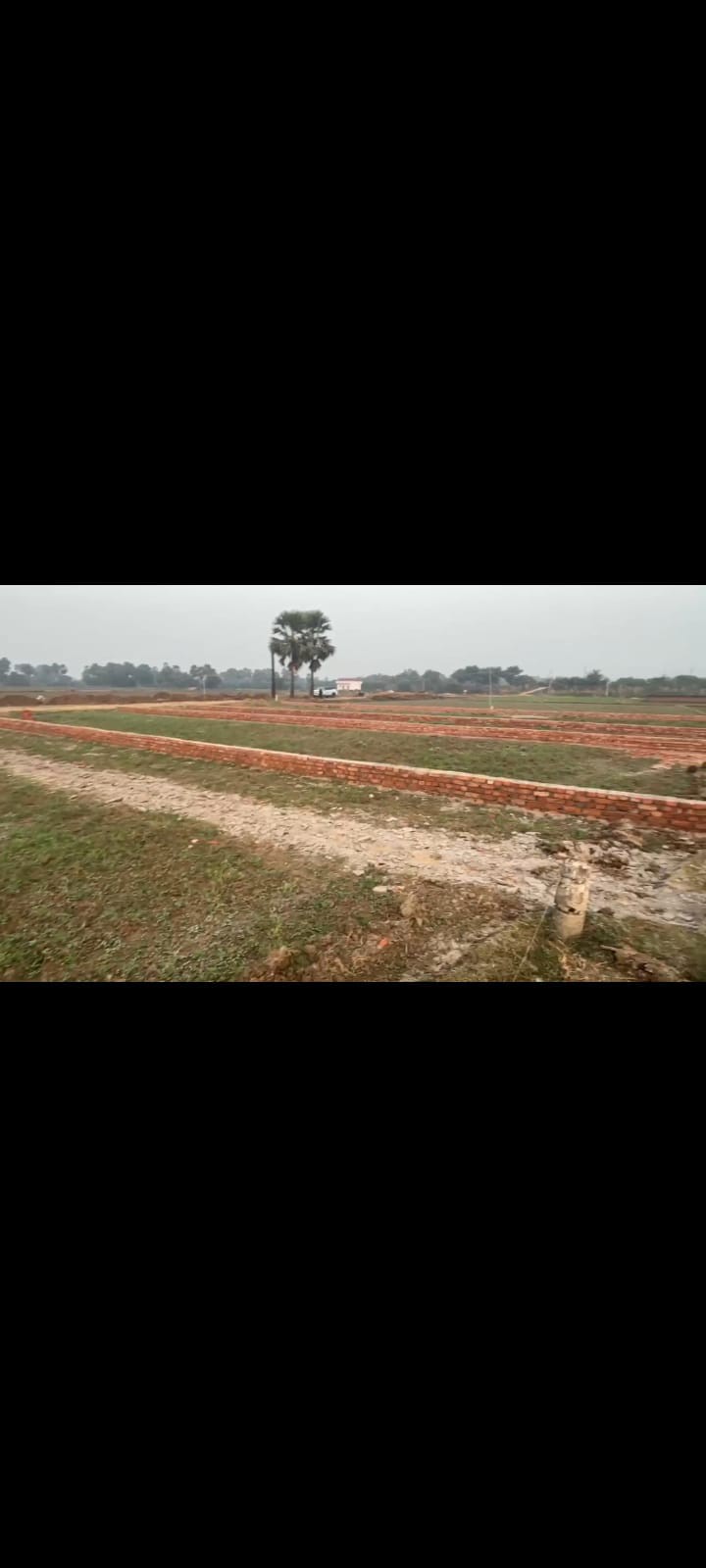 Patligram Phase lll society 2