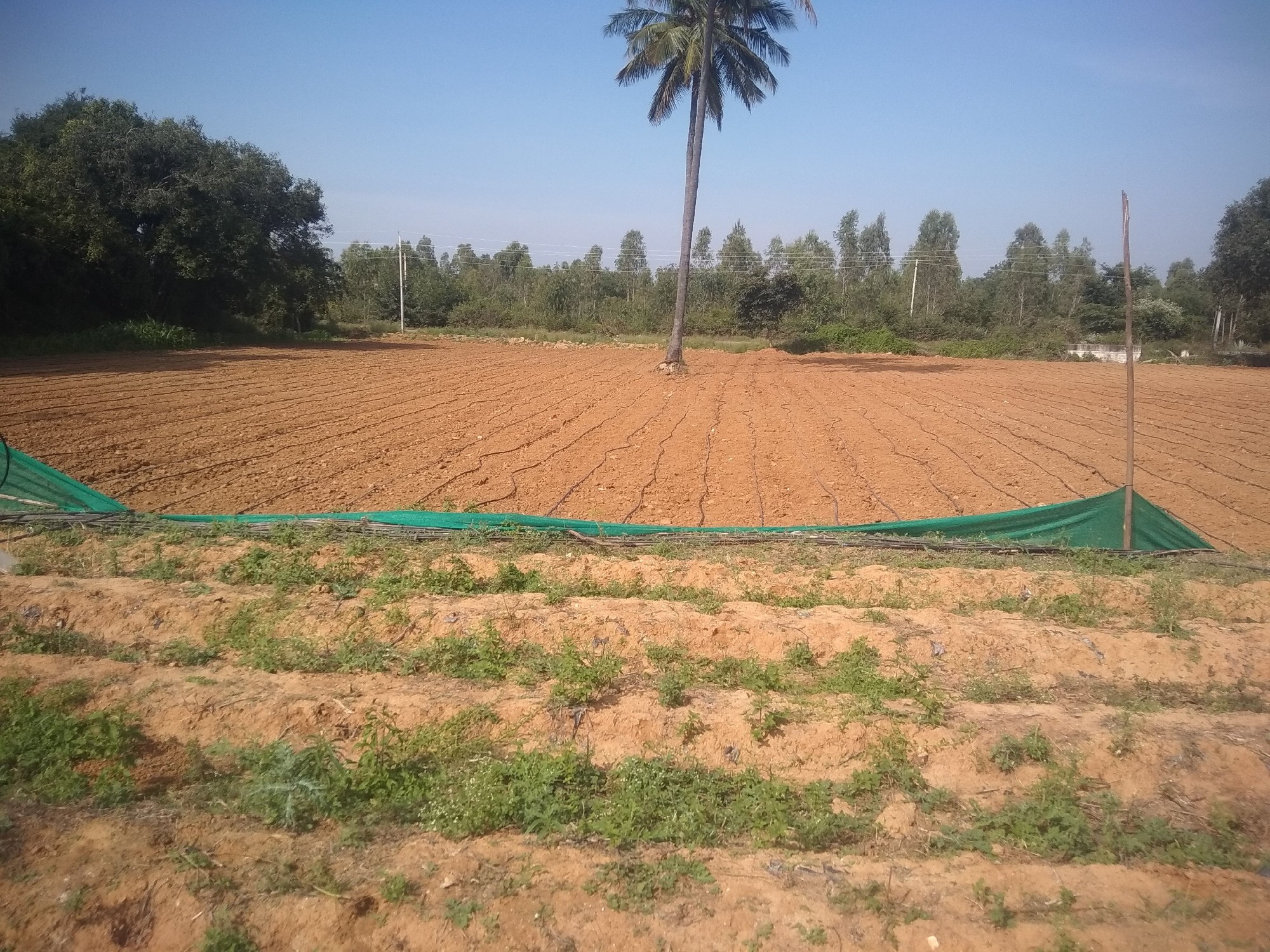 agricultural land