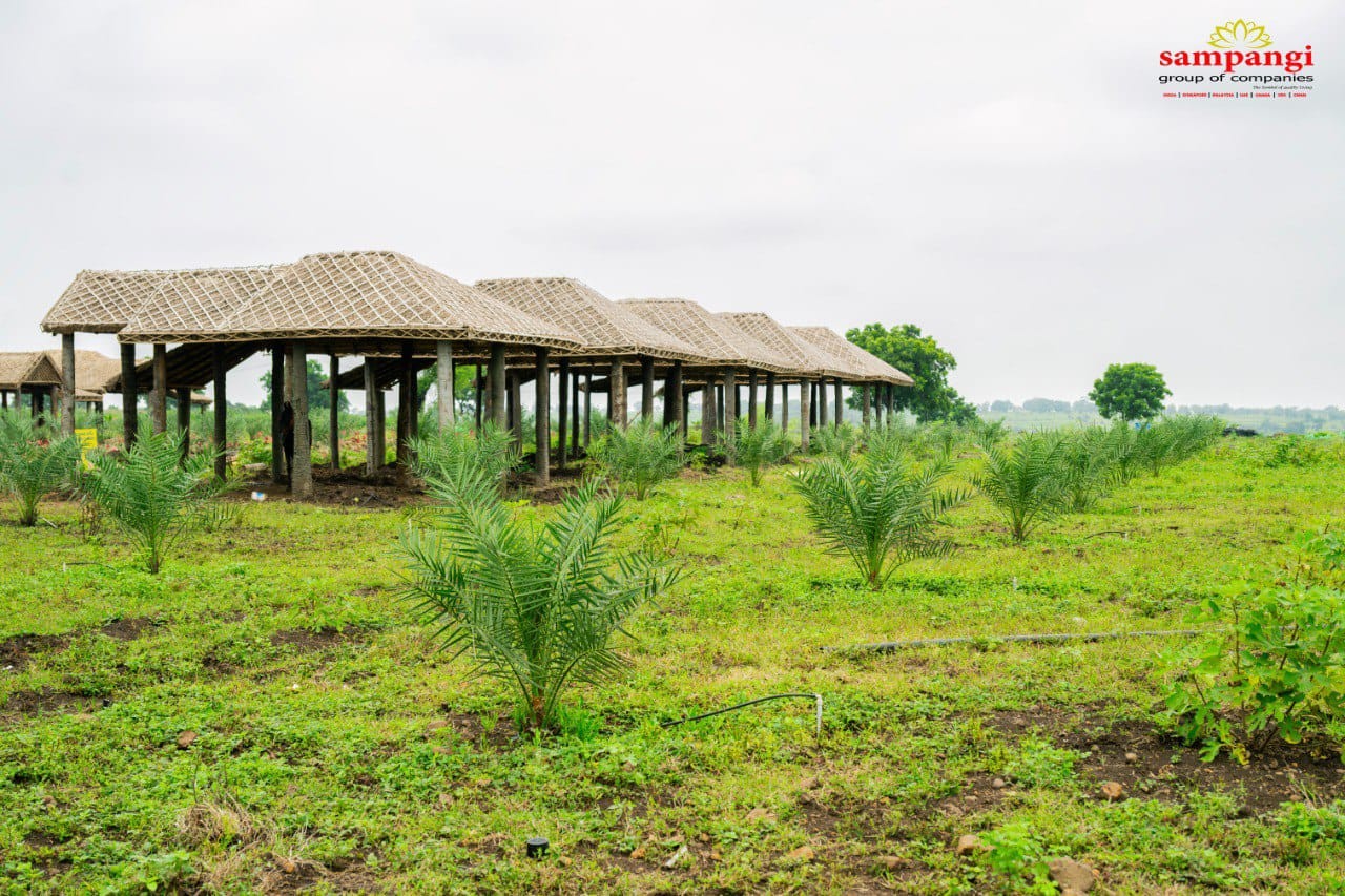 Low budget income based farmlands