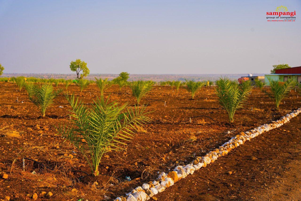 Low budget income based farmlands 2