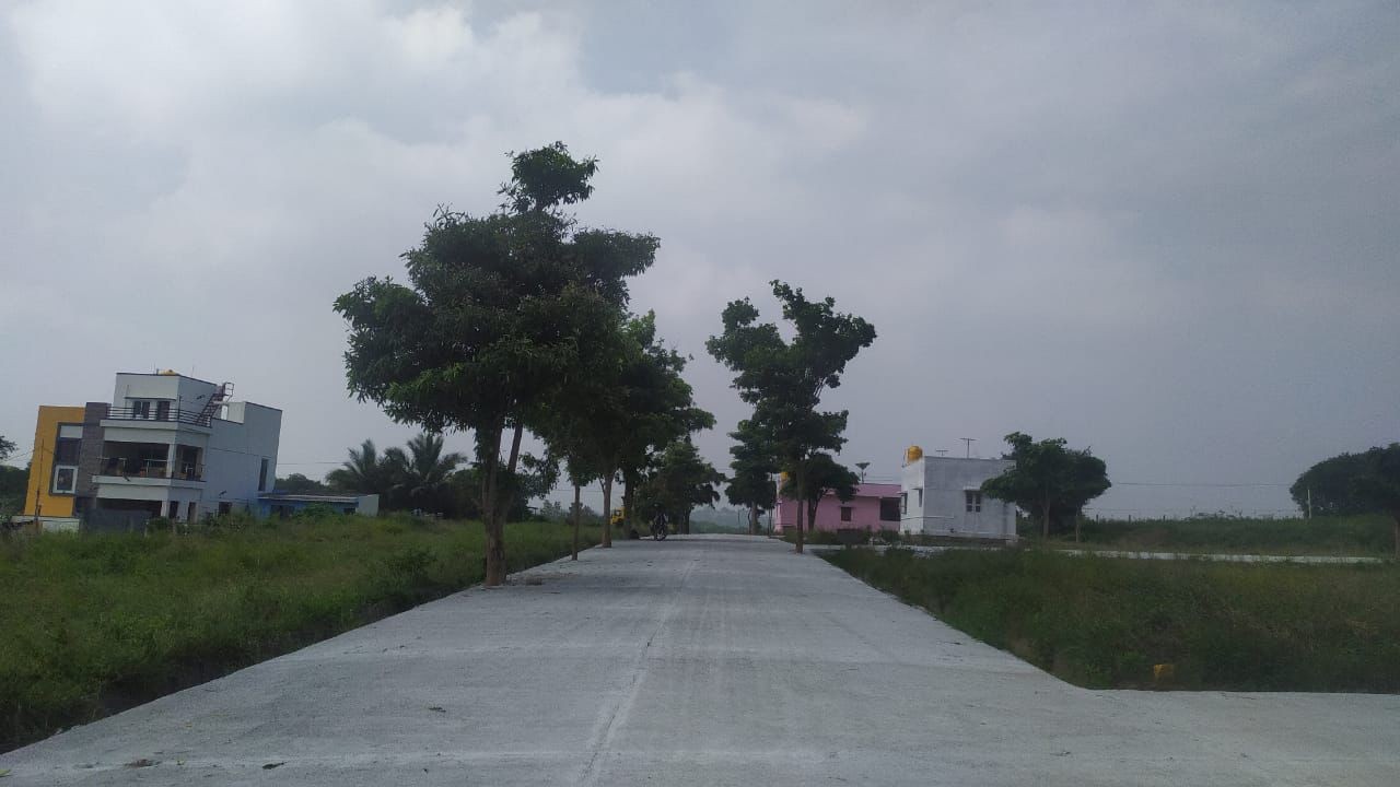 Trend Adurshta bhoomi