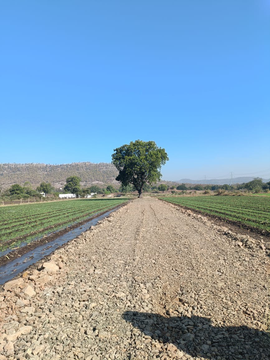 Farmland investment property 2