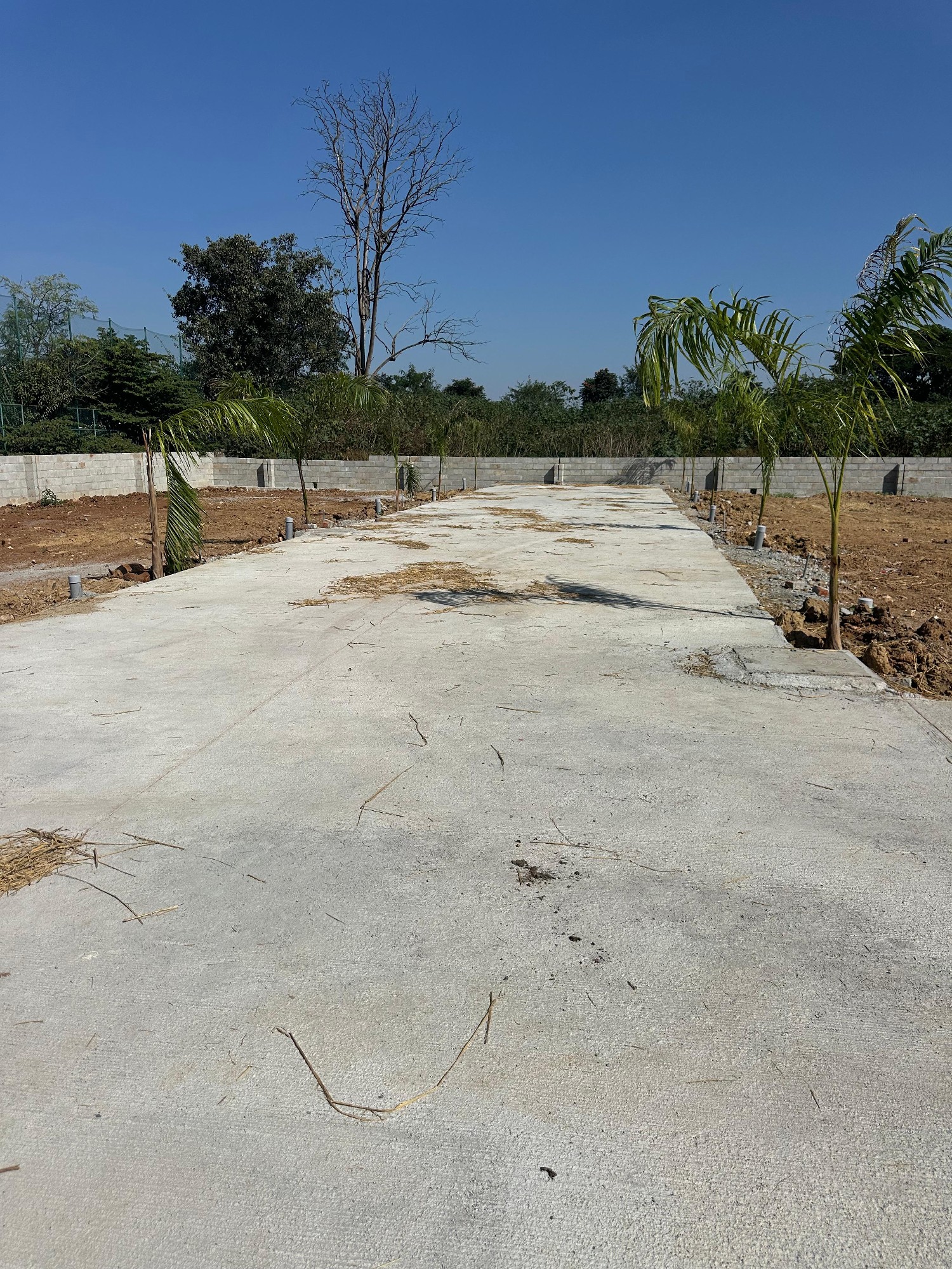 Trend Tarak Greens 3