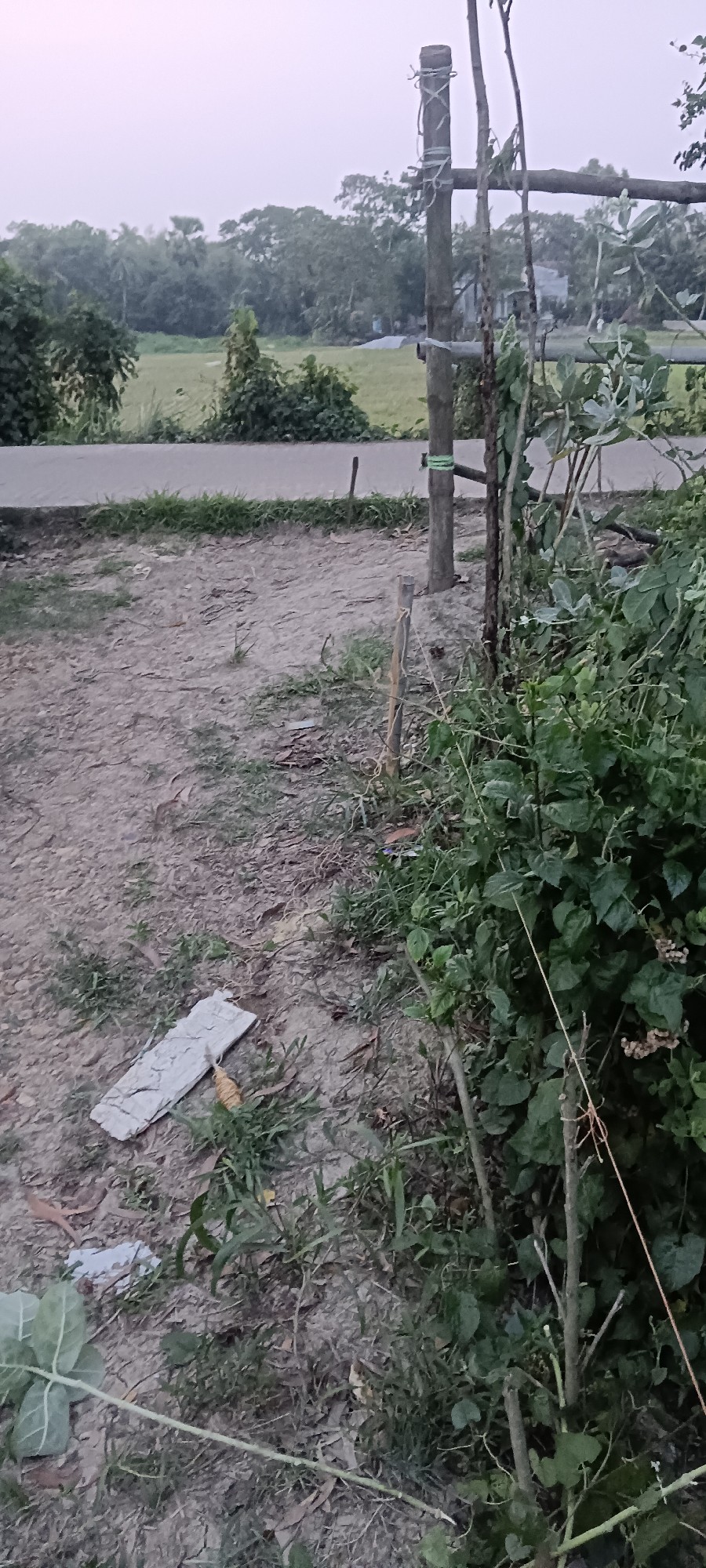 khatian No. 13552, G.L. No.156