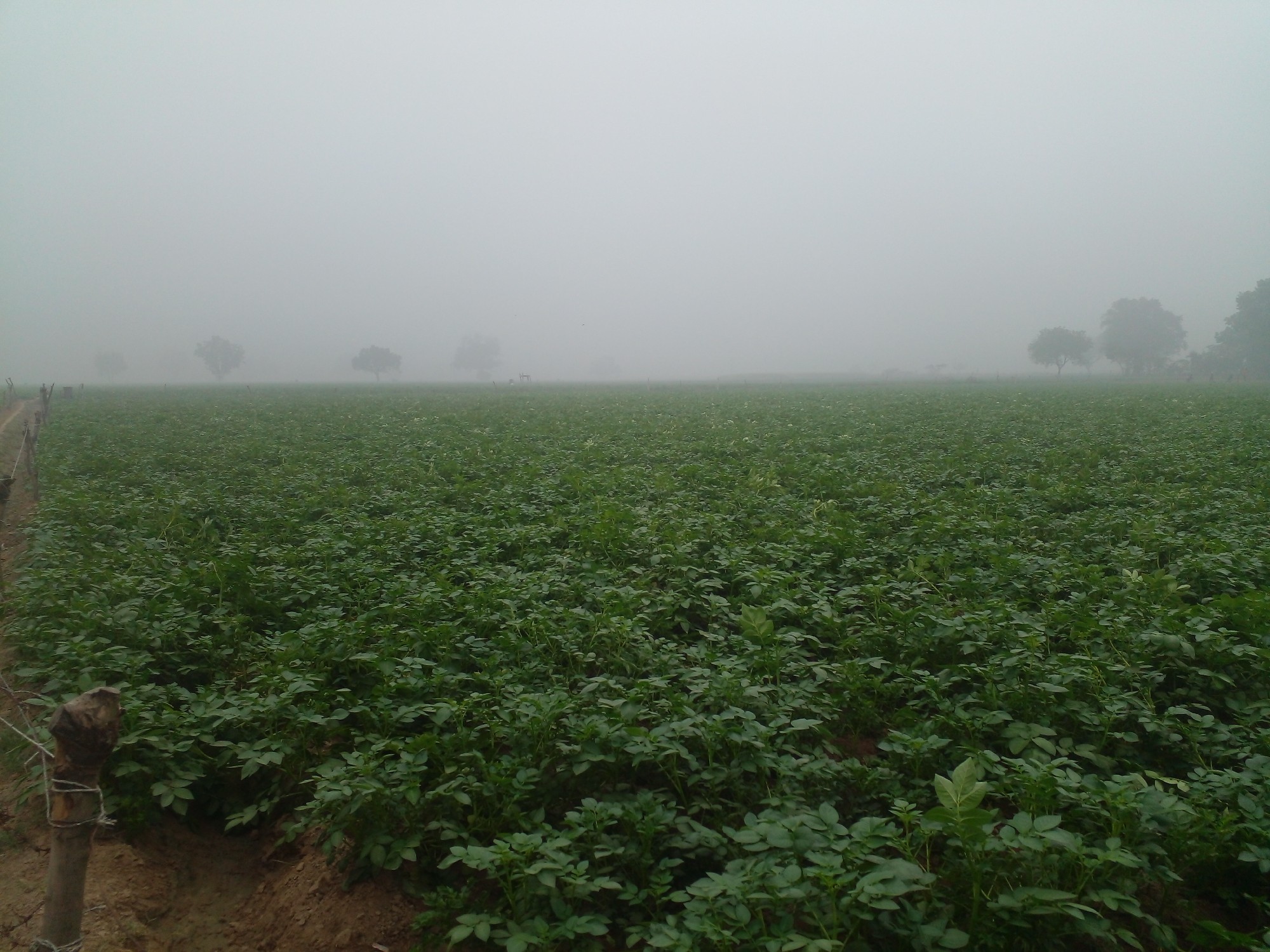 good rate and near road clean and fix price