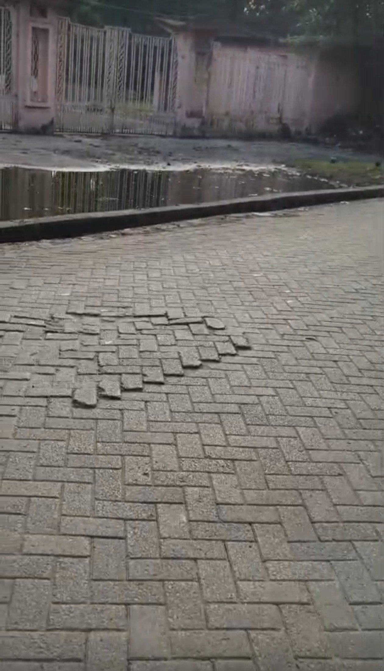 30 kata land for sale 2