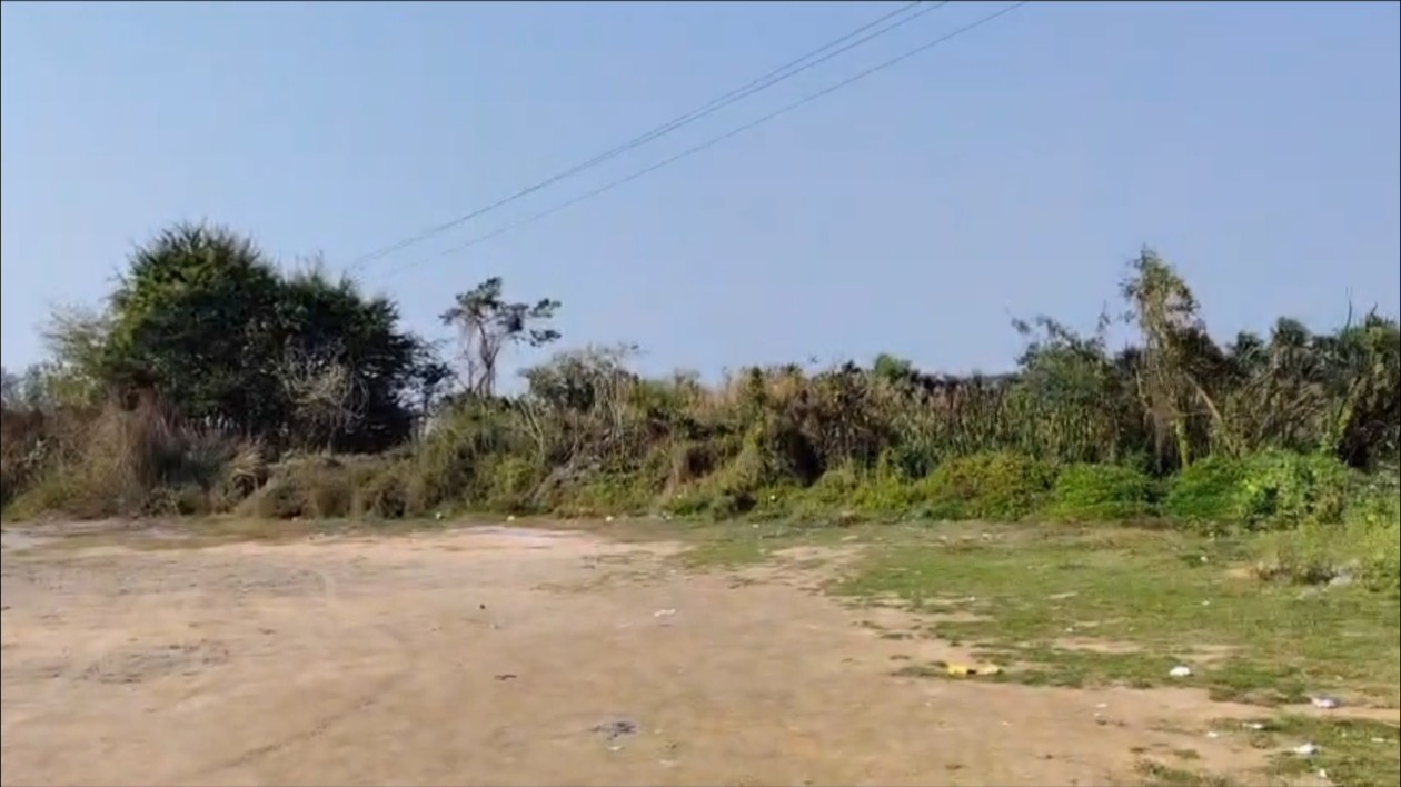 13 bigha land for sale 3