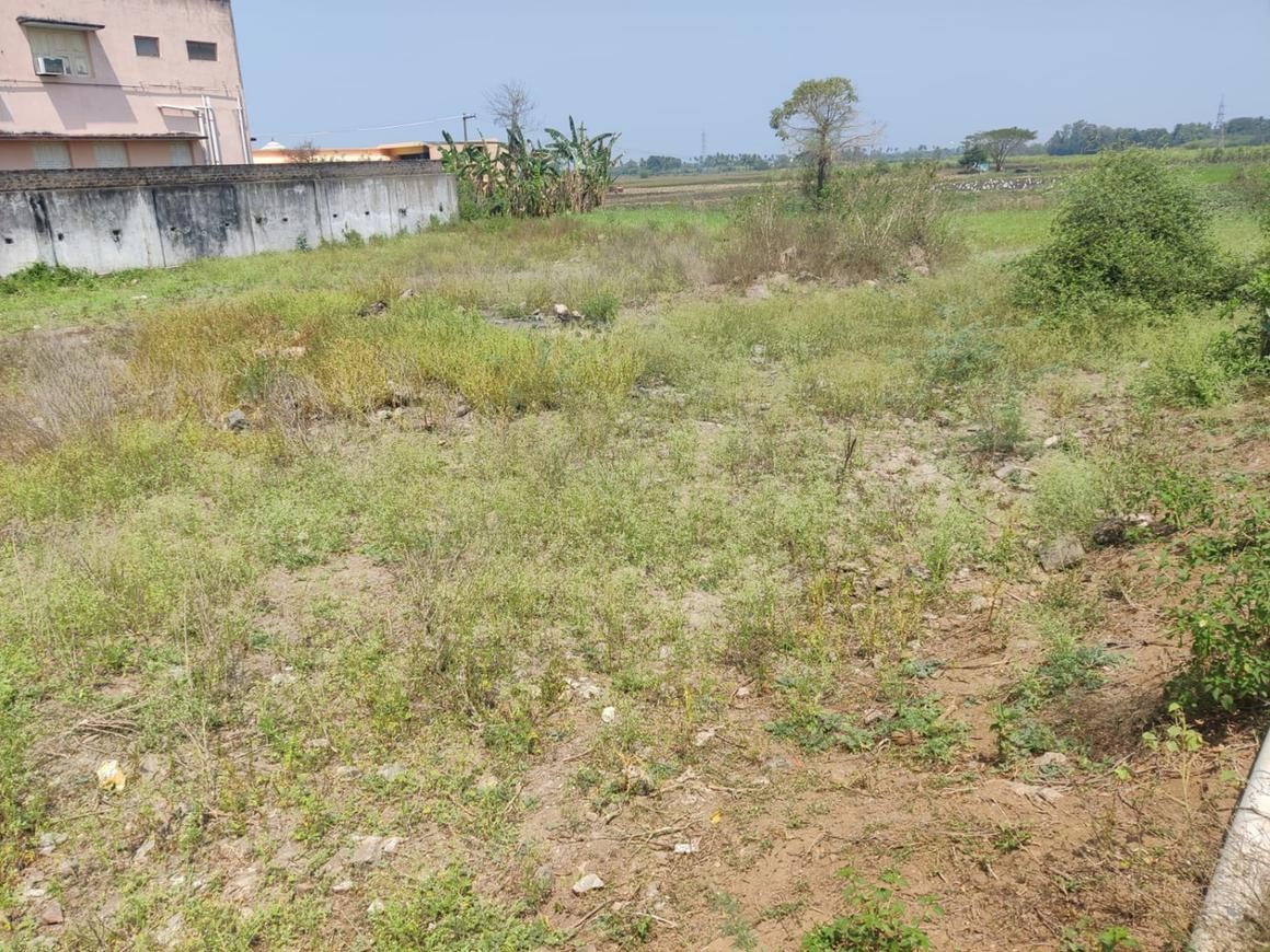 near Vandhavaasi Tiruvannamalai land for sale total 3.5 acres 50 lakhs no negotiable 3