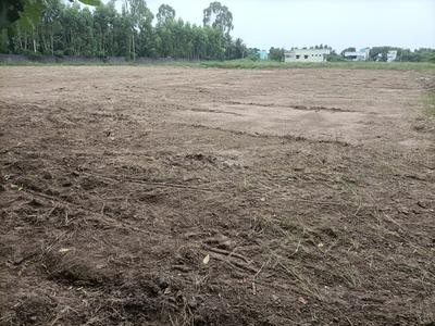 near Vandhavaasi Tiruvannamalai land for sale total 3.5 acres 50 lakhs no negotiable