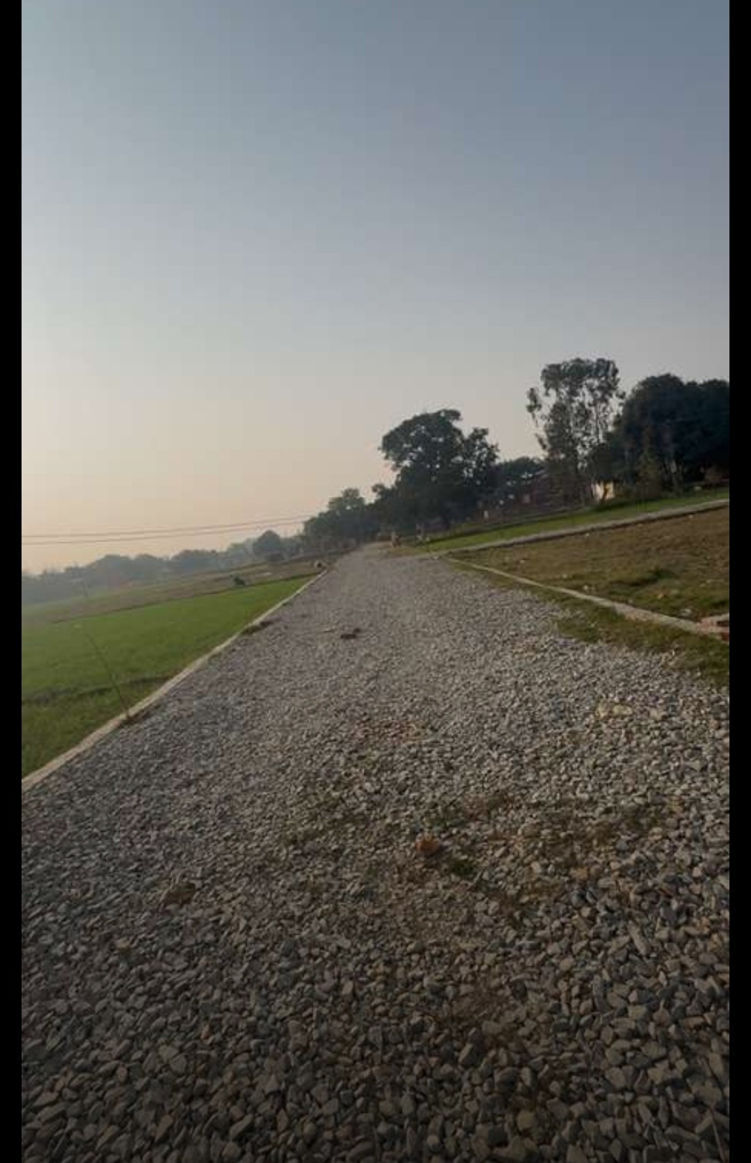 plot in rohania available 3