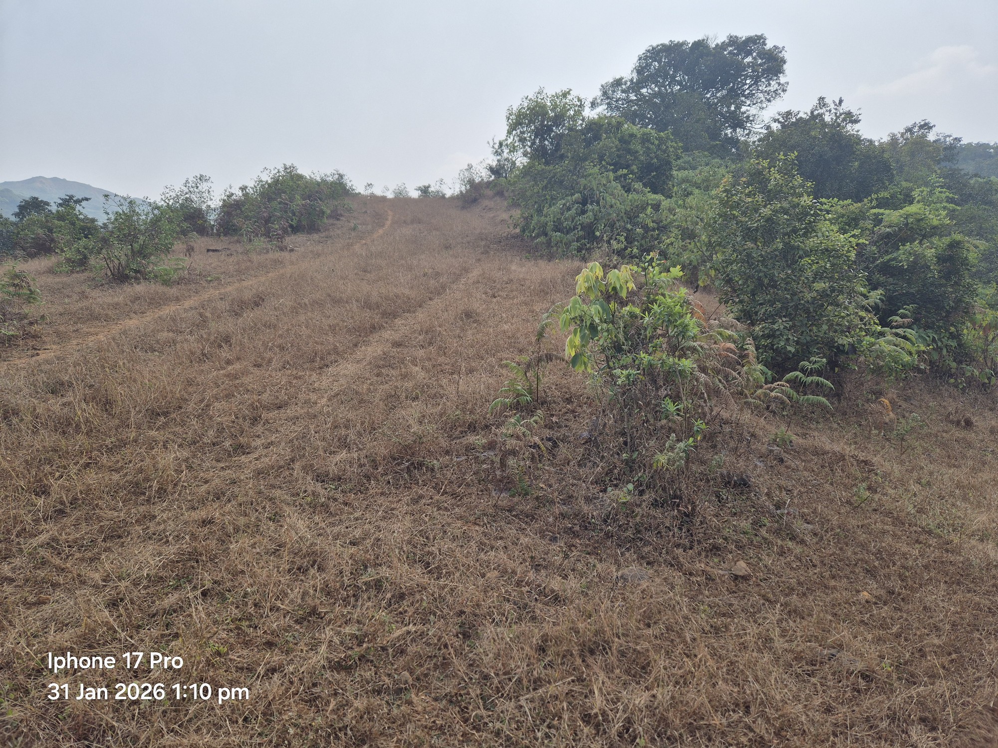 Agreecalture land Velhe Ghisar and Ghevande