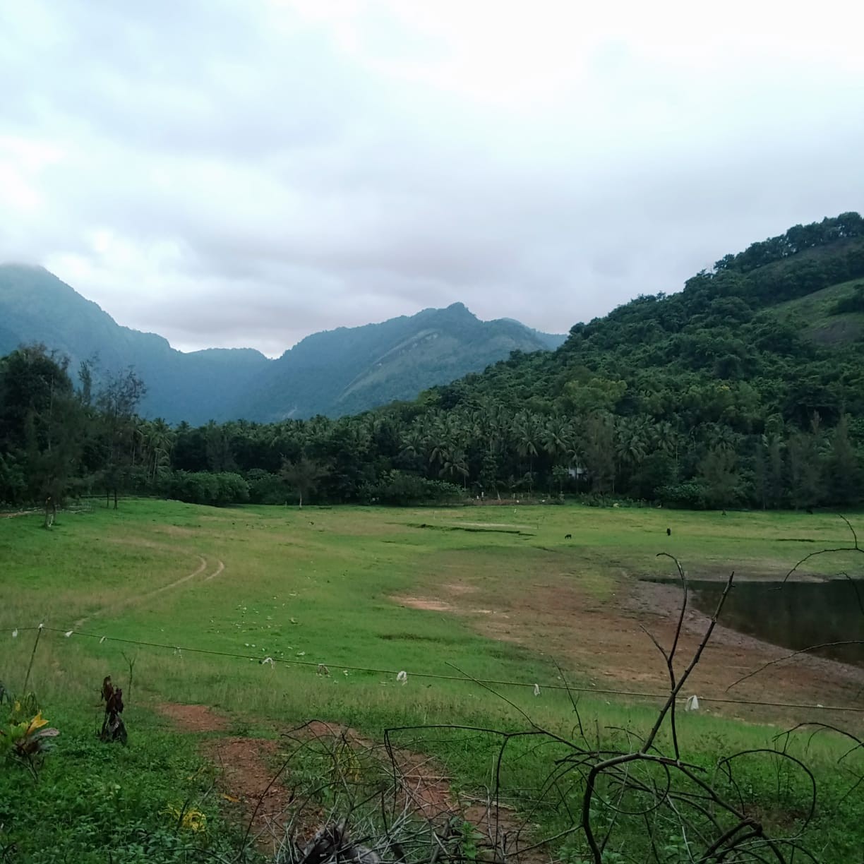 Plot For Sale Near kakkayam (Tourism river side) 3