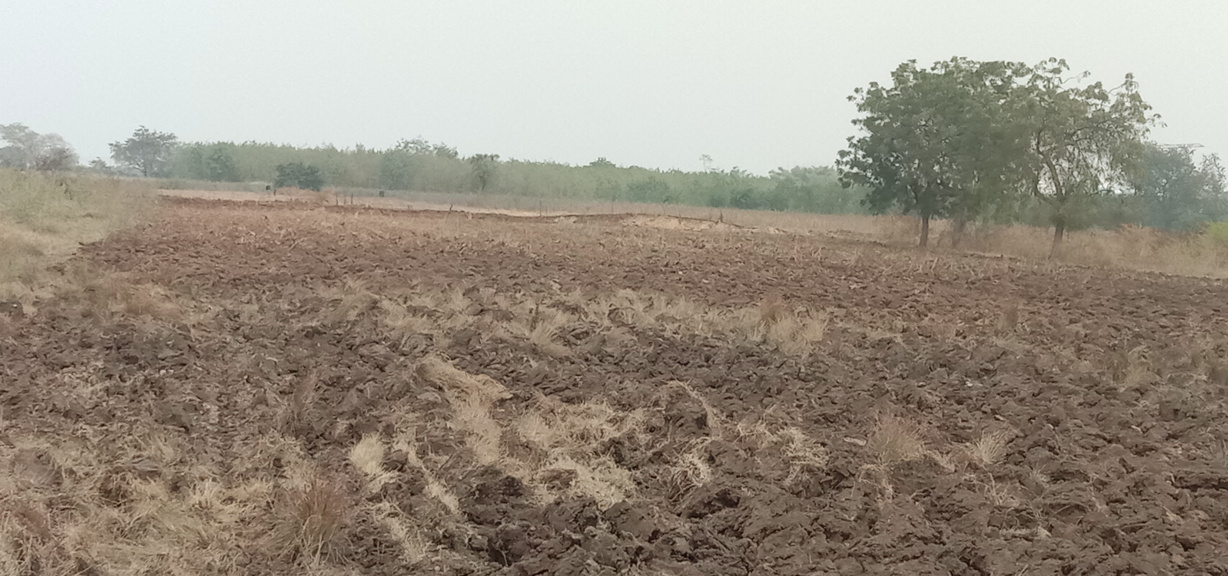 urgent sale. near Keesara petrol pump back side close to Hyd highway 🛣️