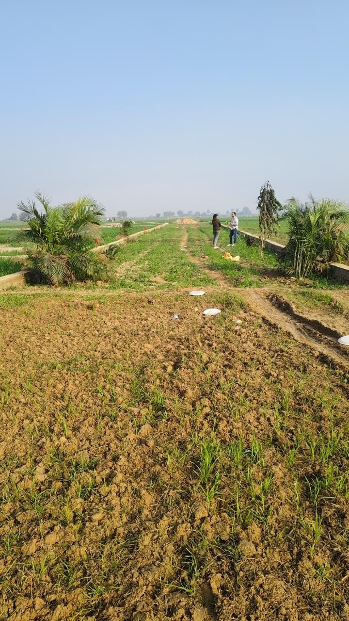 Big Township Project