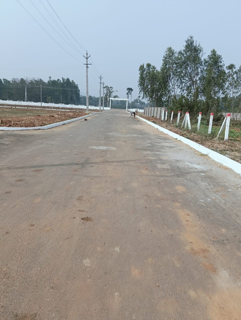 Best investment for future Returns 3