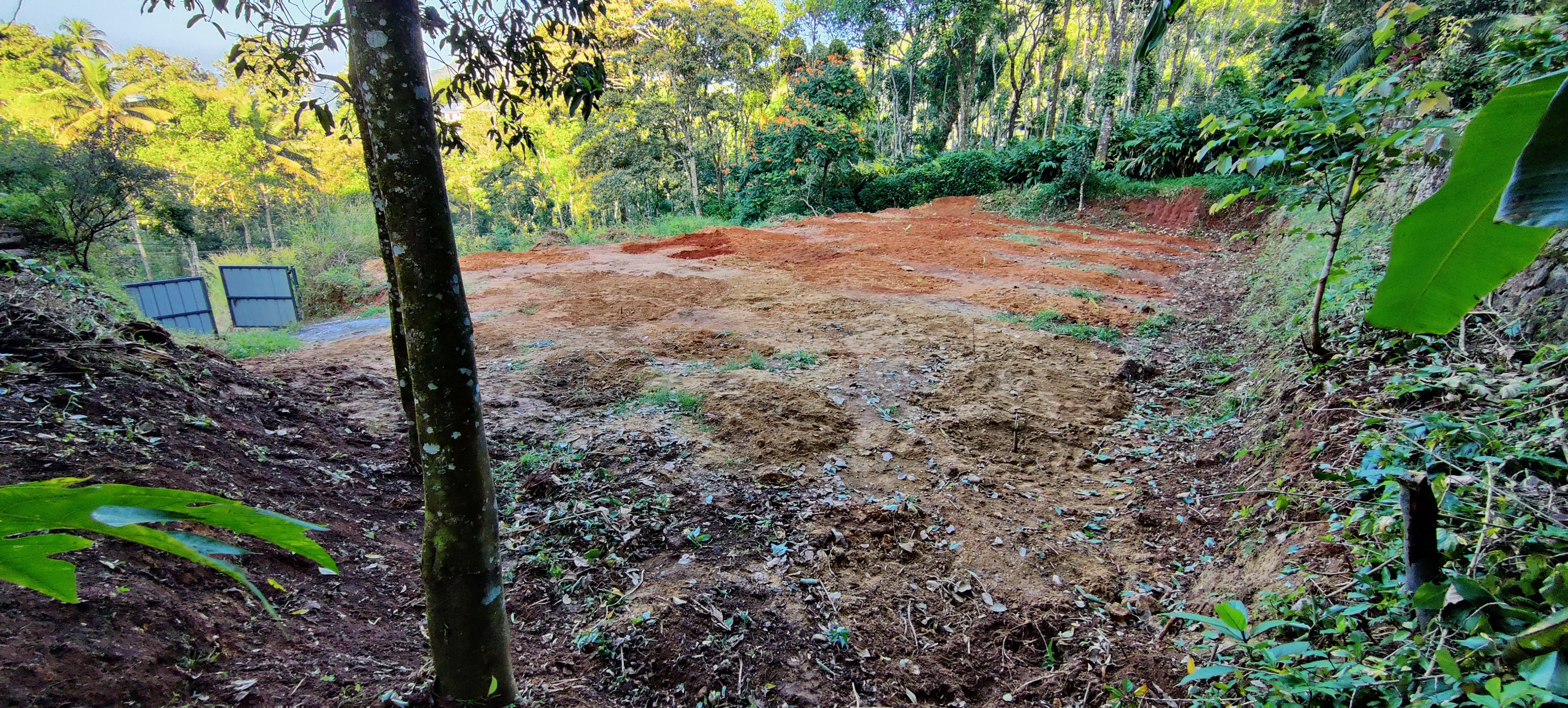 House Plot Kattappana 2