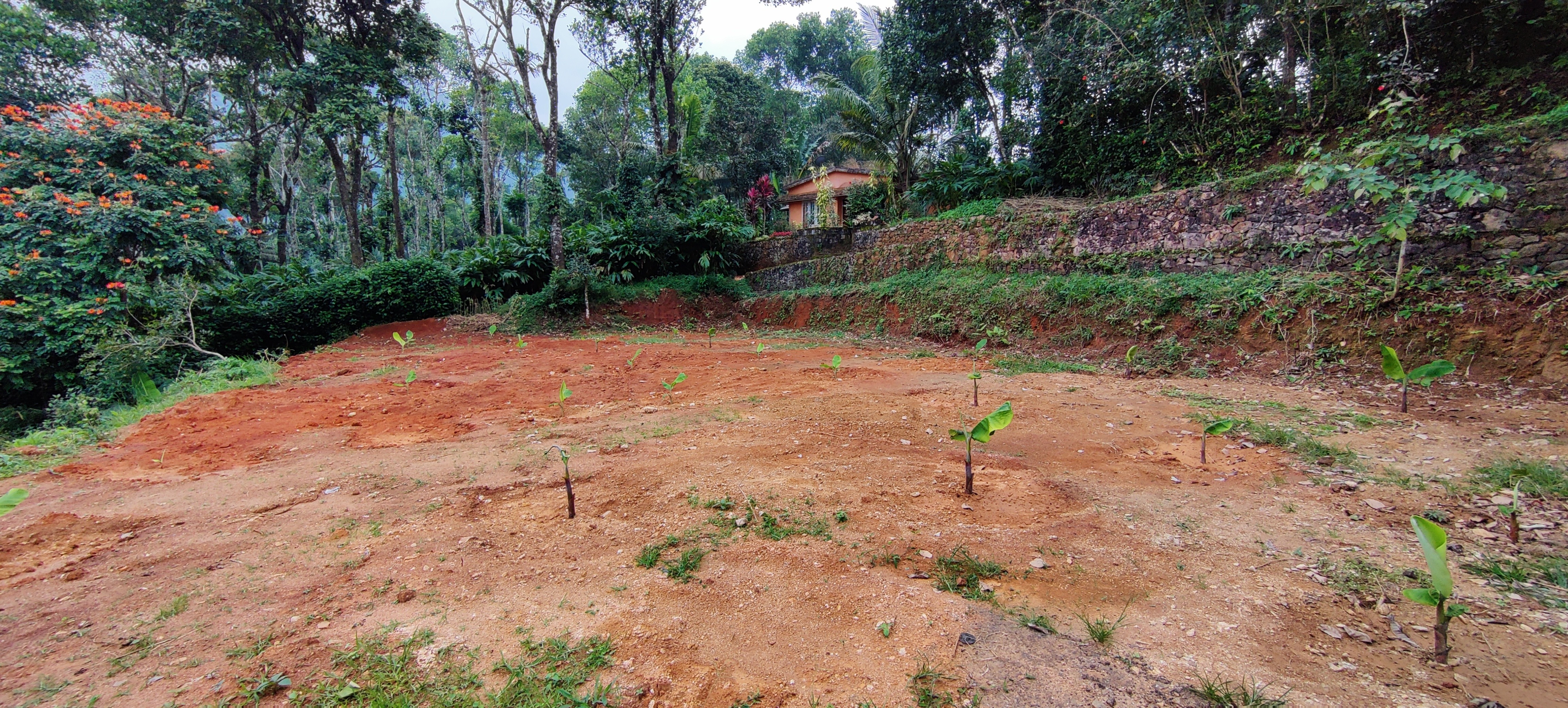 House Plot Kattappana 3