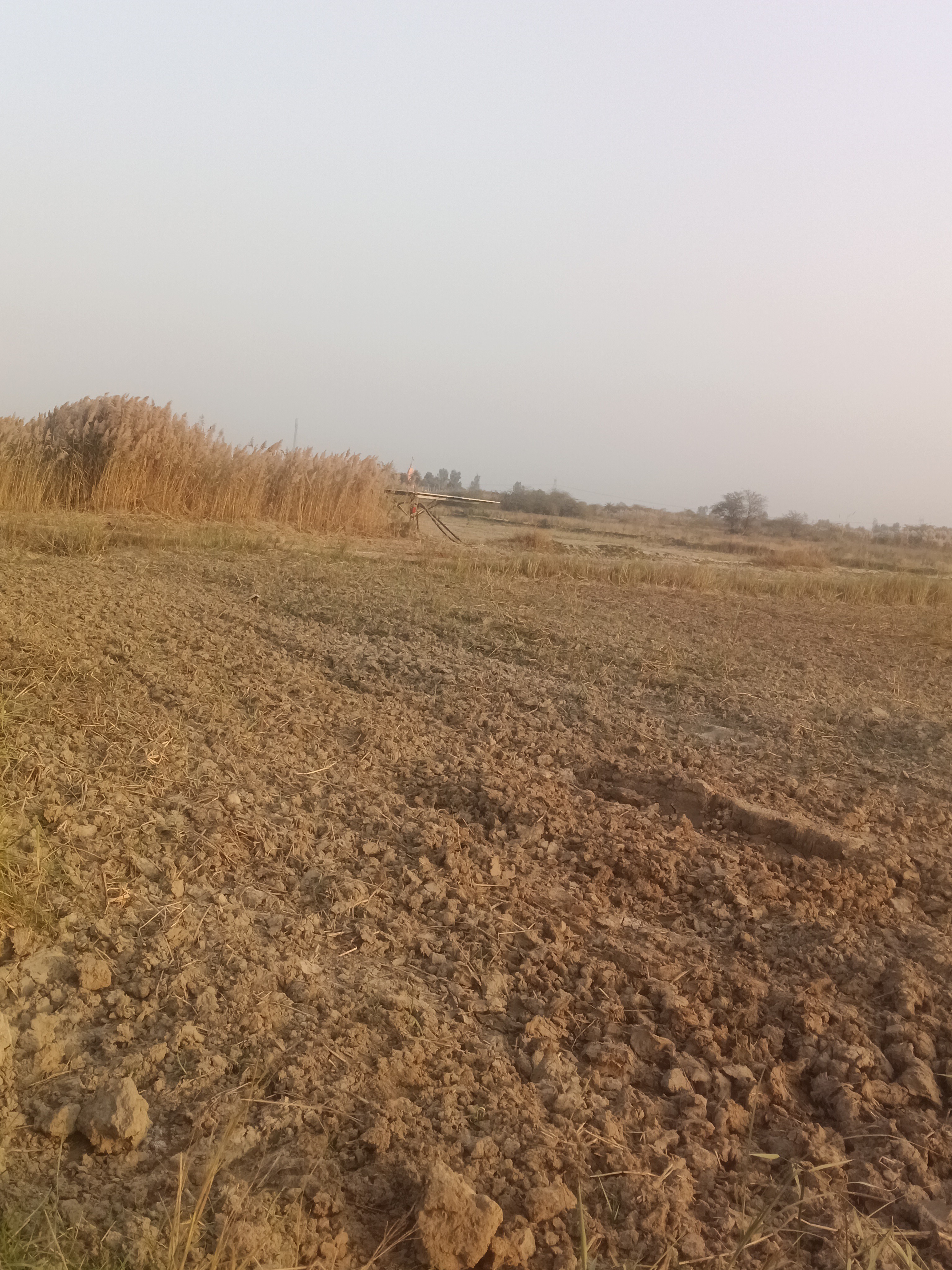 Damdama Road 🔥📍 Pavitra Hotel ke paas✨ 30% Down Payment par apna plot book karein💰 Sirf 28,000/- per gaj🏡 Basi hui colony | On Road Location⚡ Bijli – 💧 Pani uplabdhAaj