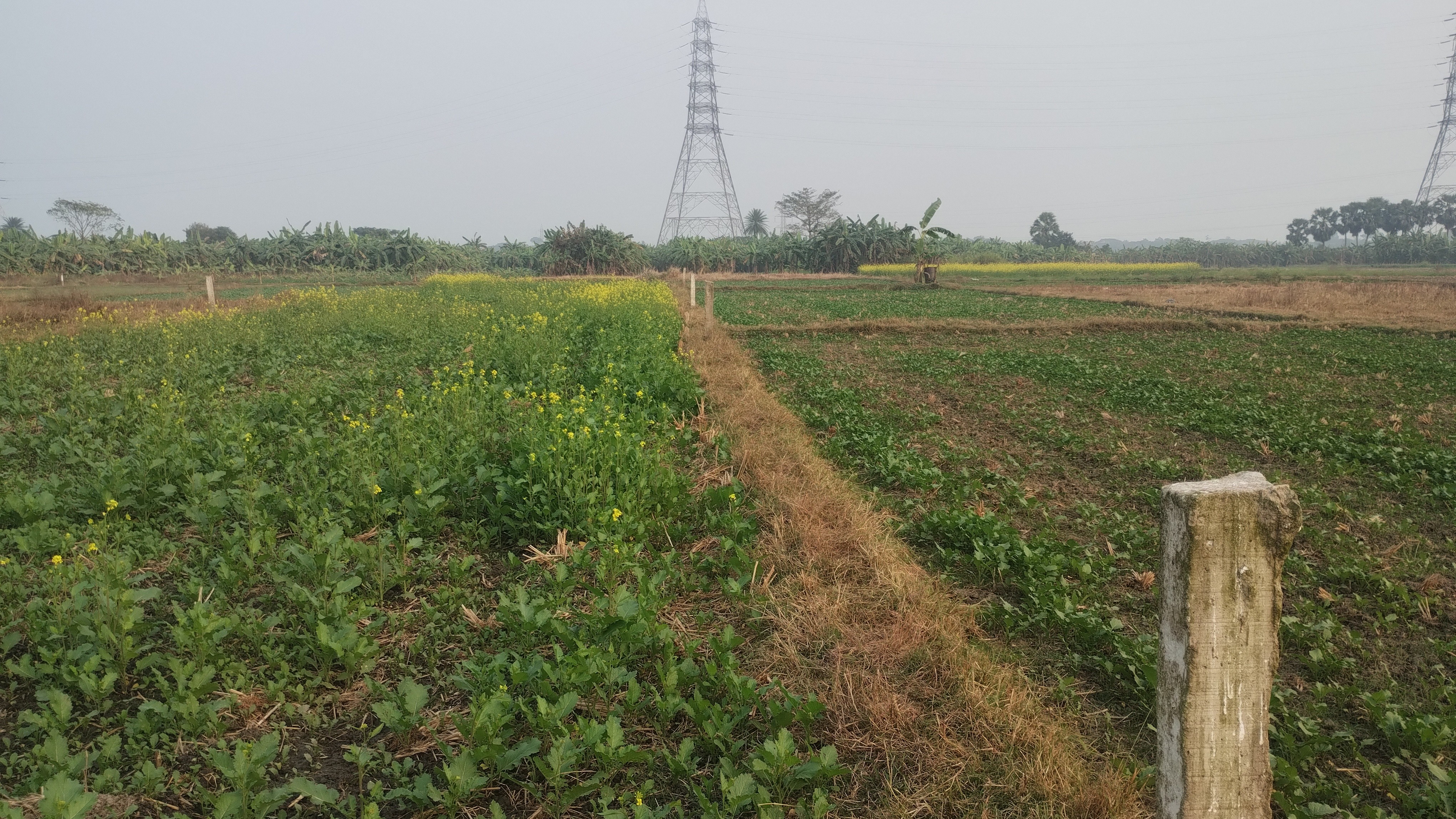 land for sale in Newtown Kolkata