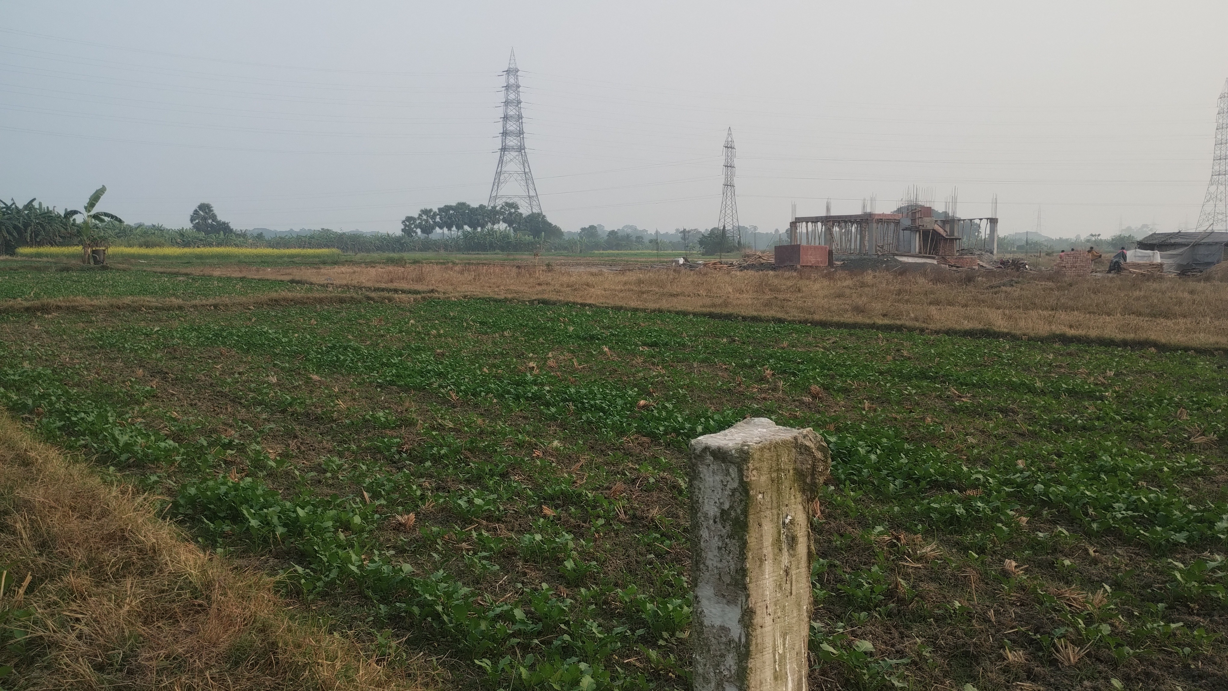 land for sale in Newtown Kolkata 2