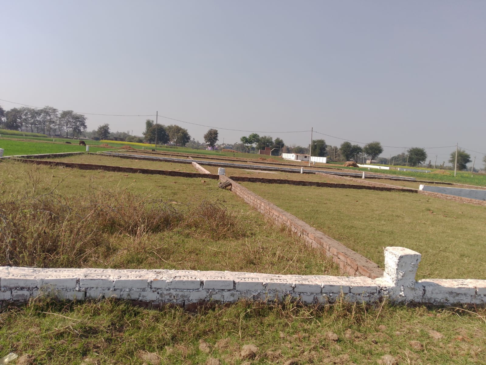 it residency project bhita s***** ग्रेटर-पटना(बिहटा)***** ******IT Residency******Company Name:- Khatu Shyamग्रेटर पटना में बिहटा आई आई टी के पास गेटेड सोसाइटी में आवासीय और निवेश के लिए प्लॉट ले:- 7667079379सुविधाएं:-****** गेटेड कॉलोनी20 फीट मुख्य सड़कड्रेनेजस्ट्रीट लाइटसिक्योरिटी गार्डसीसीटीवी कैमरा मेन गेट चारदीवारीपार्करिटेल स्टोरआस- पास की सुविधाएं:-******🛣️बिहटा - औरंगाबाद रोड:- 200m🛣️ पटना- सासाराम 4 लेन :- 300m🛤️ बिहटा स्टेशन :- 6 Km🛣️ बिहटा गोलंबर:- 7 Km🚎कन्हौली बस स्टैंड:- 10 Km🏪 बिहटा बाजार :- 6 Km🛬अंतरराष्ट्रीय हवाईअड्डा:- 8 Kmपेमेंट प्लान:-**********बुकिंग राशि:- 10%एग्रीमेंट राशिt:- 40%रजिस्ट्री राशि:- 100%दर:- रेसिडेंशियल:-1699/-फीटEMI सुविधा उपलब्धakriya chowk