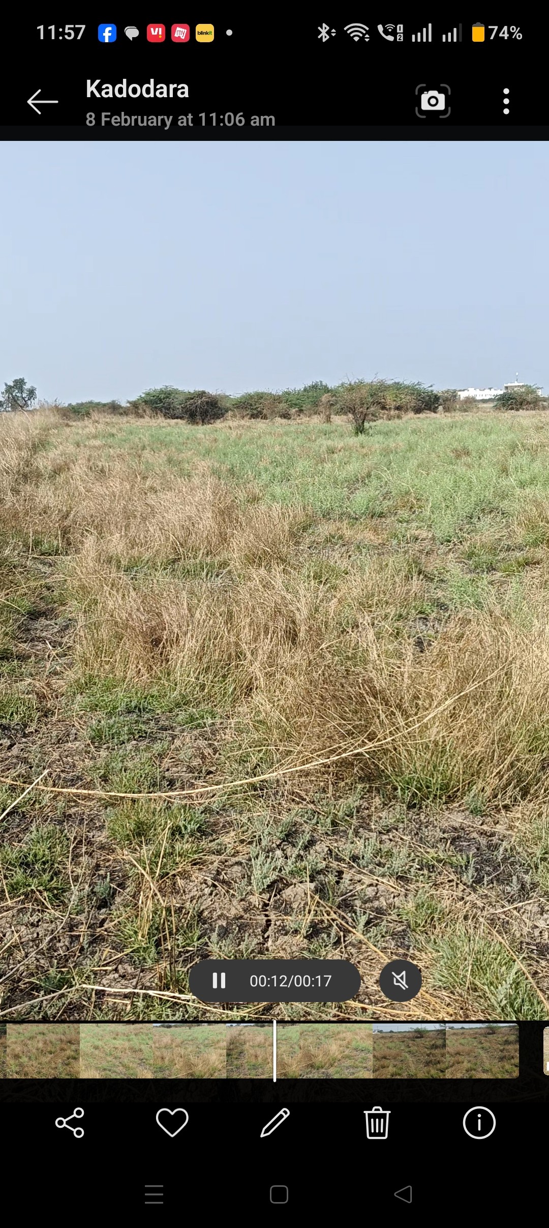 Agricultural farm land available for sale in Kadodara Village, Taluka Vagra, District Bharuch (Gujarat).