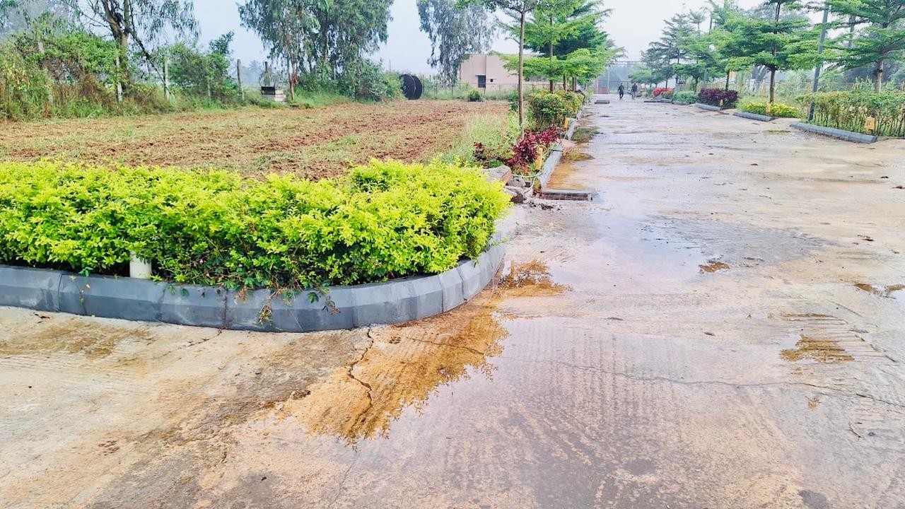 Bhavathi Sliver Woods 3