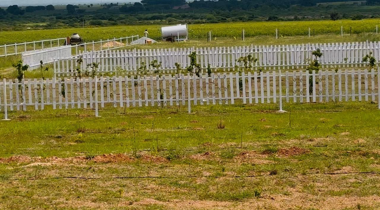 just 79rs sqft near lepakshi temple 2